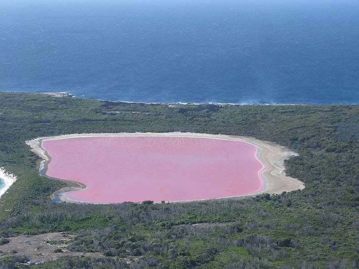 El sorprendente lago rosa 