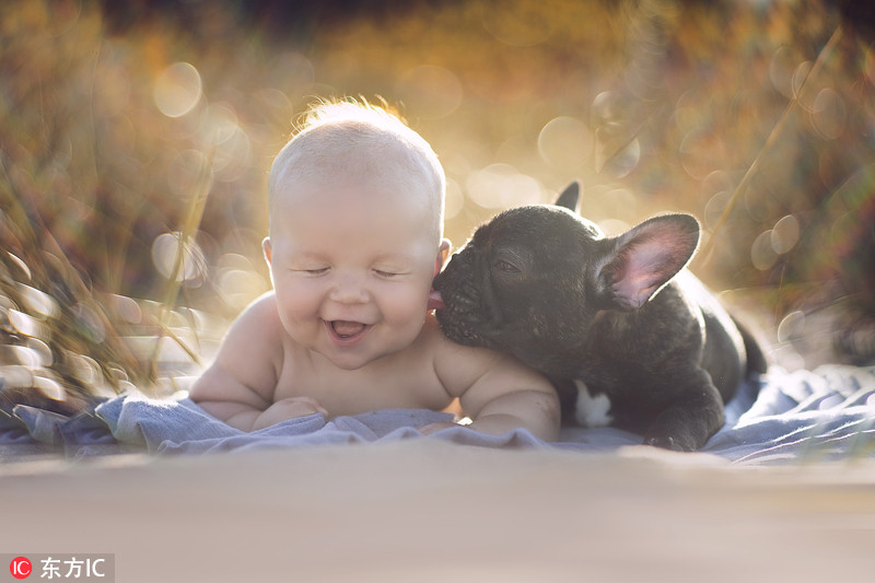 Momentos amorosos entre pequeñitos y sus mascotas 1