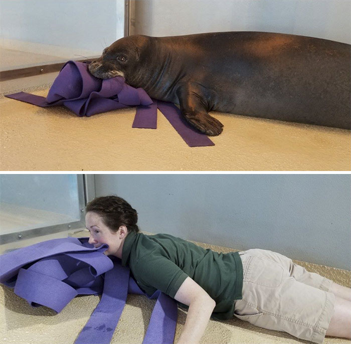 10 Fotos muestran lo que sucede cuando los cuidadores de zoo tienen tiempo libre