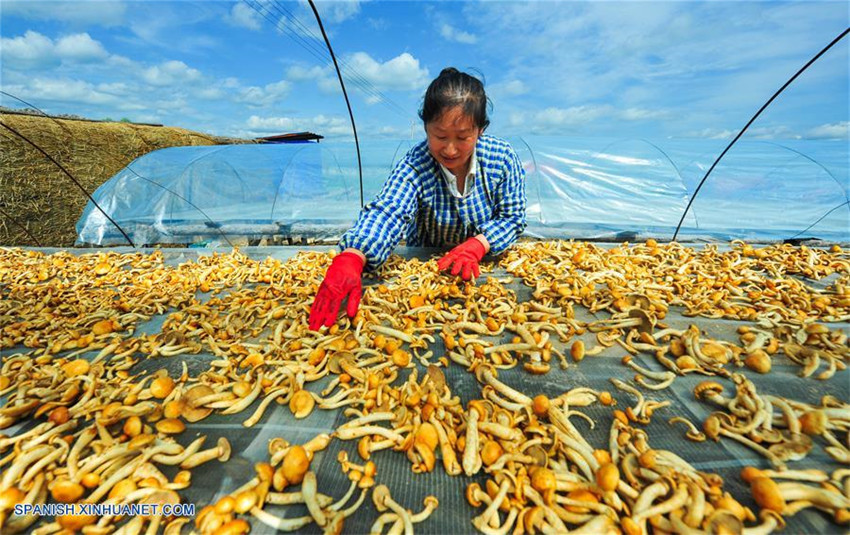 Mongolia Interior, la primera región autónoma a nivel de provincia establecida en China