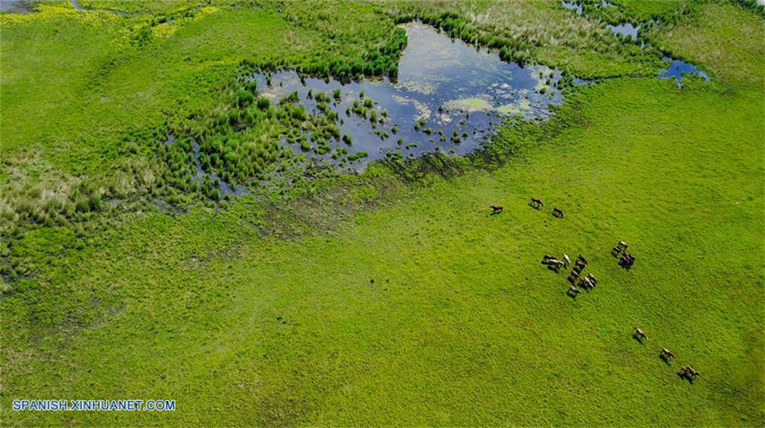 Mongolia Interior, la primera región autónoma a nivel de provincia establecida en China