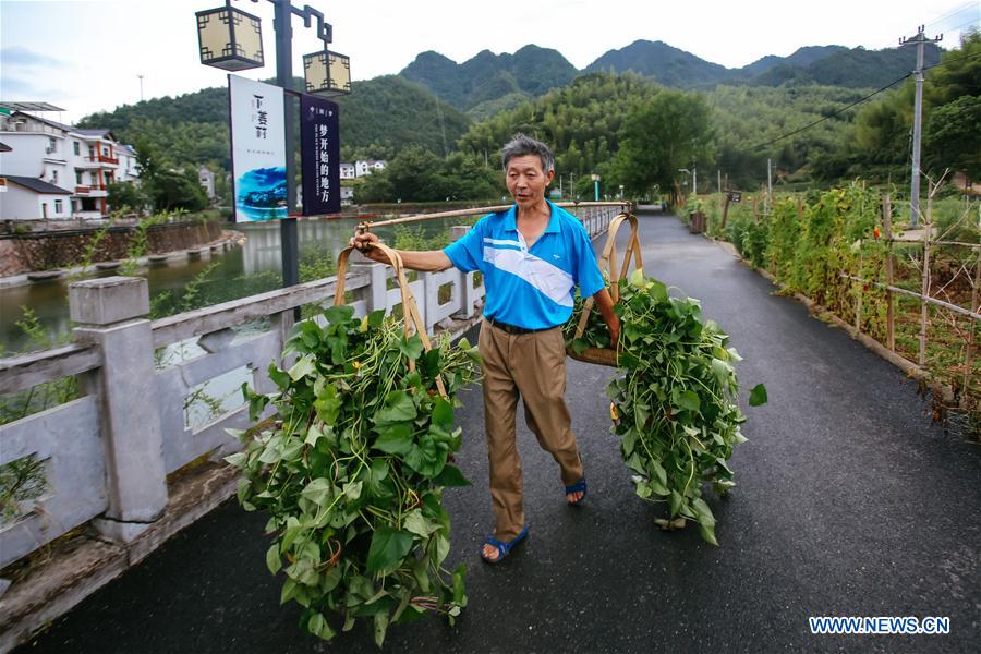 Aldea del este de China se beneficia del programa 'Desarrollo verde”