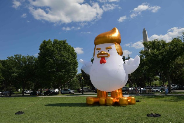 Un pollo con el peinado de Trump en la Casa Blanca