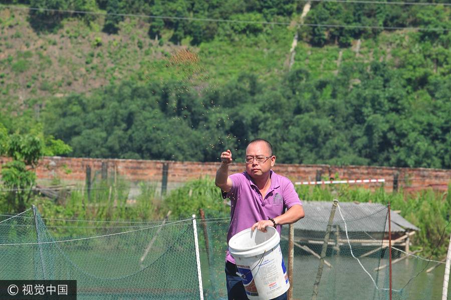 Egresado de Qinghua convierte la cría del esturión en un negocio lucrativo 3