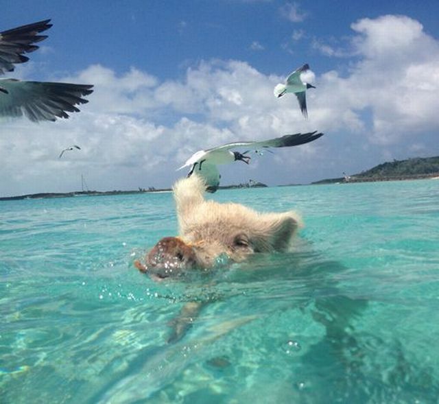 Una serie de fotos que te derrite el corazón