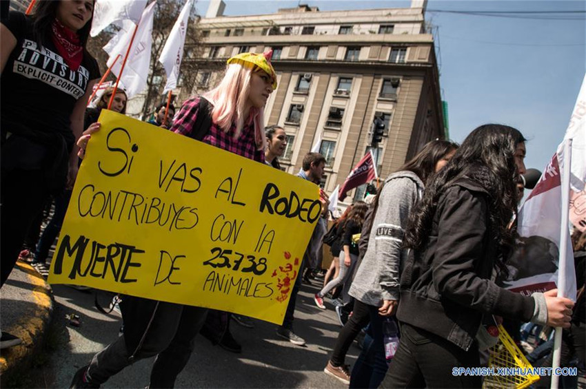 Miles de personas se manifiestan en Chile contra el rodeo