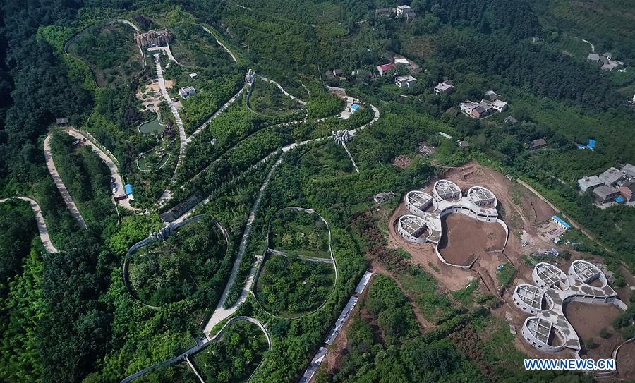 China planea construir parque interprovincial para el panda gigante 5