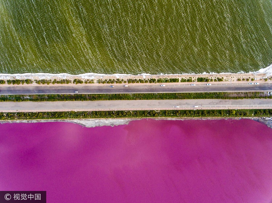 Colores otoñales en el lago de sal de la provincia china de Shanxi 4
