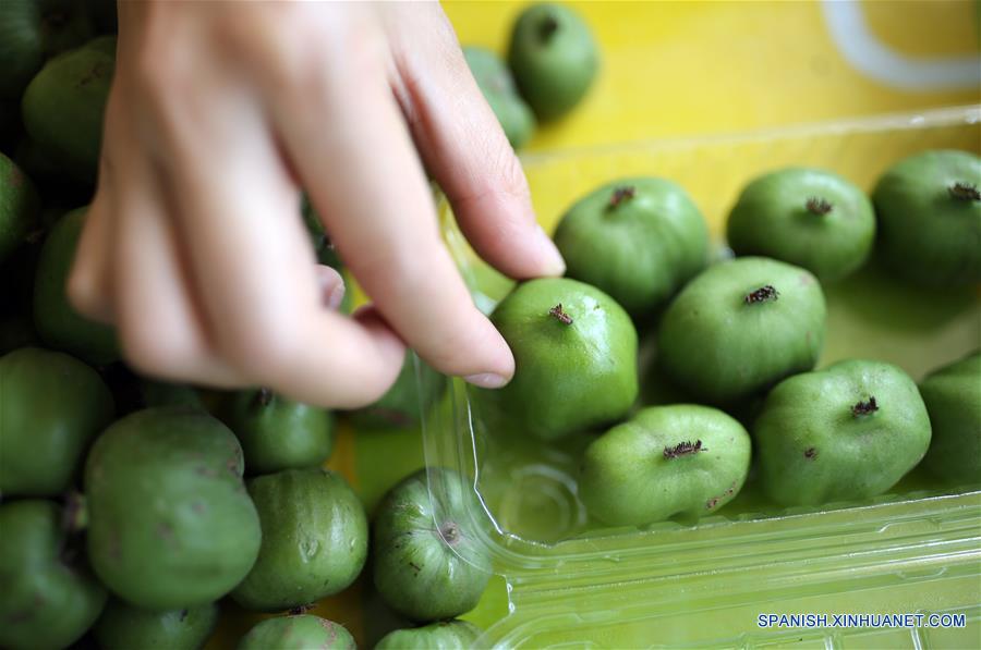 Las frutas de mini kiwi en Dalian