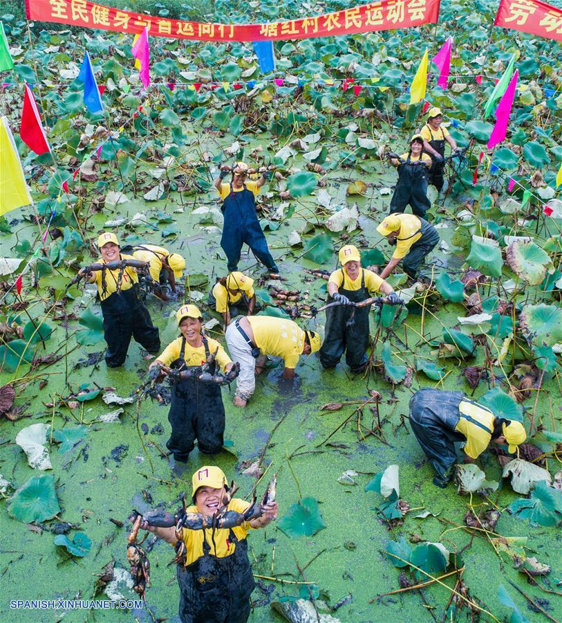 Competencia para desenterrar raíces de loto, en Zhejiang