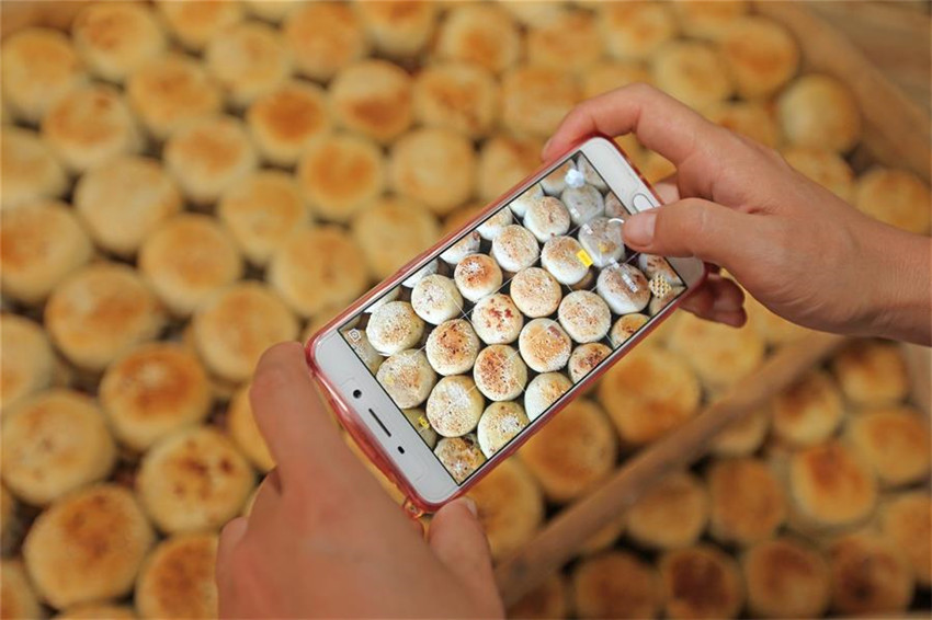 Pastel de luna, comida tradicional para Festival de Medio Otoño