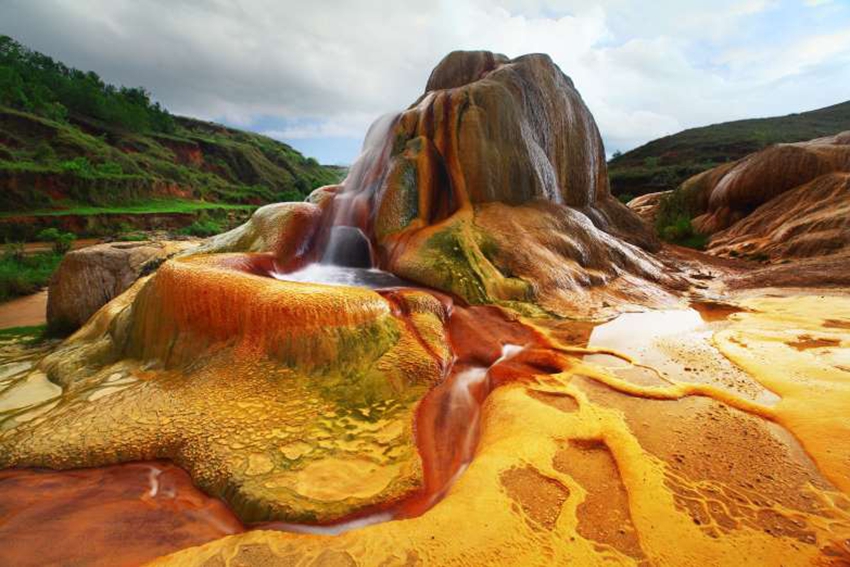 Paisajes de fauna y flora impresionantes12