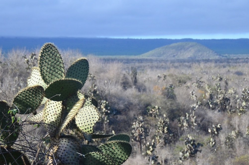 Fotos hermosas de Ecuador