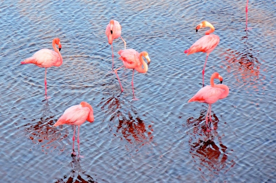 Fotos hermosas de Ecuador