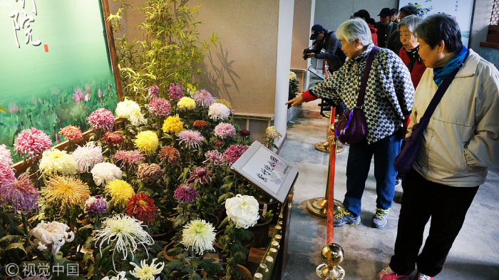 Exhibición de crisantemos de Beijing