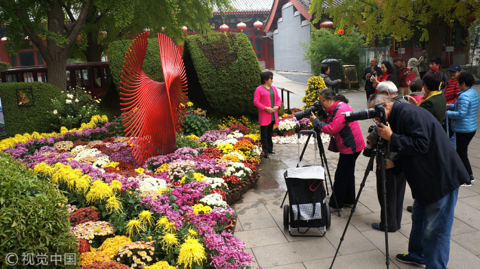 Exhibición de crisantemos de Beijing