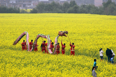 People perform dragon dance at the Longgong scenic area in Anshun City, southwest China's Guizhou Province, March 8, 2008. The 6th Guizhou (Anshun Longgong) Cole Flower Tour Festival was opened at the Longgong scenic area in Anshun March 8. (Xinhua Photo)