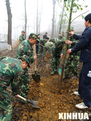 Local residents and soldiers plant trees together in Tujia-Miao Autonomous County of Yinjiang, southwest China's Guizhou province, March 10, 2008. The local government officials, people from all walks of life and soldiers in the province joined in tree planting after the snow disaster. 
