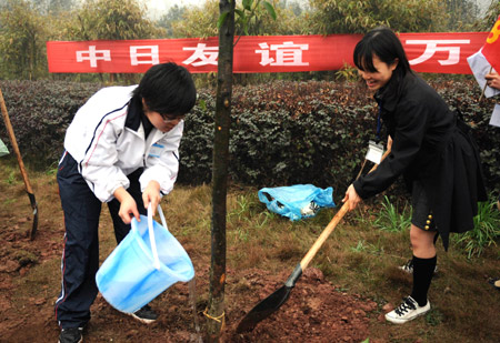 Japanese students plant "the tree of friendship" with Chinese students in Chongqing Municipality of southwest China on March 12, 2008. 