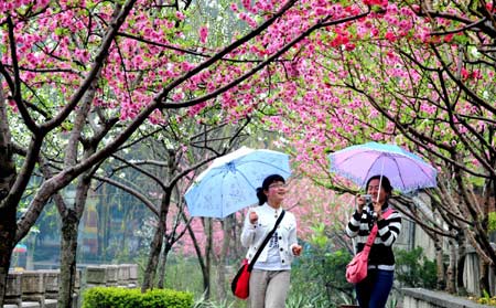 Two girls enjoy the beautiful scene of the west lake park in Fuzhou, capital of southeast China's Fujian Province, March 17, 2008. The beautiful scene of peach blossom in the park has attracted a lot of visiters. (Xinhua Photo)