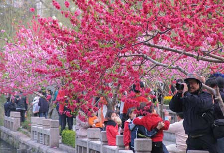 Tourists enjoy the beautiful scene of the west lake park in Fuzhou, capital of southeast China's Fujian Province, March 17, 2008. The beautiful scene of peach blossom in the park has attracted a lot of visiters. (Xinhua Photo)