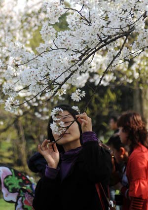A woman smells cherry blossoms in Liulangwenying Park by the West Lake in Hangzhou, capital of east China's Zhejiang Province, on March 23, 2008.(Xinhua Photo)