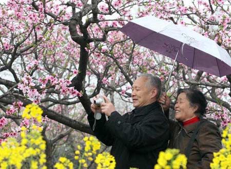 Visitors take photos under peach blossom trees at the opening of the first peach blossom festival in Xuchang in central China's Henan province on Saturday, March 29, 2008. The peach trees cover more than 200 hectares.