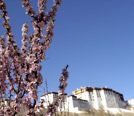 Photo taken on April 7, 2008 shows the Potala Palace in Lhasa, capital of southwest China's Tibet Autonomous Region. Blossom flowers add an odor of spring for the people in and outside the city to enjoy the beautiful scenery. (Xinhua/Purbu Zhaxi)