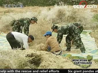 With labor in very short supply, many soldiers and volunteers have also formed teams to help out.