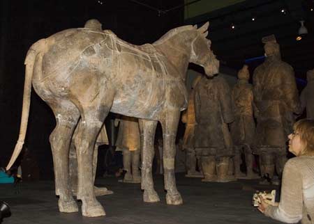 An ancient terracotta horse from China is displayed in the Drents Museum in Assen city, northern Netherlands, Feb. 2, 2008. The first exhibition of ancient terracotta soldiers from China started here Saturday, attracting more than 1,000 visitors on the opening day. Besides 14 life-sized terracotta figures including warriors, servants and one horse, more than 220 other burial gifts of gold, jade and bronze from the Qin Dynasty (221-206 BC) and the Western Han Dynasty (202 BC-9 AD) were displayed. The exhibition runs through Aug. 31.