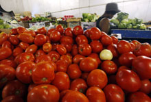 A pile of tomatoes is seen on display at a wholesale produce market in Washington, June 12, 2008. Representatives from the U.S. Food and Drug Administration and the Centers for Disease Control and Prevention (CDC) said they are continuing to search for the source of the Salmonella outbreak, after reports of people falling ill from eating Salmonella-tainted tomatoes and that they now have 167 reported cases from 17 states. 