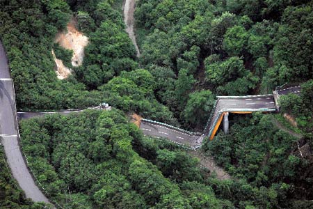 日本7.2级地震已致3人死亡100人受伤(图)