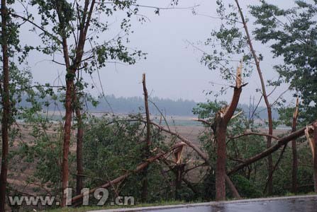 A tornado lasting about five minutes in east China&apos;s Anhui Province has claimed one live and caused 18.5 million yuan (US$2.68 million) of losses, said a local official on Saturday. 