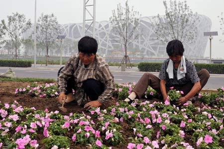 Two gardeners arrange pots of flowers beside the National Stadium, nicknamed 'Bird's Nest', in Beijing, capital of China, June 20, 2008. A total of 40 million pots of flowers will be set at places including the Tian'anmen Square, Chang'an Street and all the Olympic venues in Beijing from June 20 to July 15. 