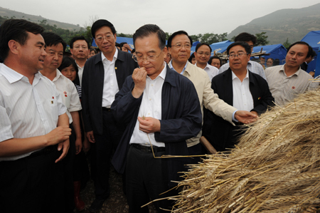 Chinese Premier Wen Jiabao chews wheat to check the quality at Douping Village in Kangxian County, northwest China's Gansu Province, June 21, 2008. 