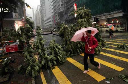 People holding umbrellas walk pass a fallen tree in south China's Hong Kong on June 25, 2008. Hong Kong was affected by heavy rain as the Typhoon Fengshen headed towards the southern Chinese city. The Hong Kong Observatory issued the No. 8 Northeast Gale or Storm Signal on Tuesday and red warning on Wednesday.