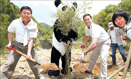 Australian Dermot O&apos;Gorman, China&apos;s country representative for the World Wildlife Fund, plants bamboo with other volunteers on a panda corridor in the Qinling Mountains, Shaanxi Province.