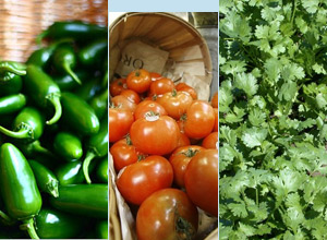 U.S. health officials added hot peppers and cilantro as potential suspects to certain types of tomatoes after the number of people sickened in the ongoing salmonella outbreak surpassed 1,000 on Wednesday.