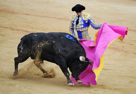 Spanish bullfighter Manuel Jesus "El Cid" performs a pass to a bull during the fifth bullfight of the San Fermin festival in Pamplona July 11, 2008.