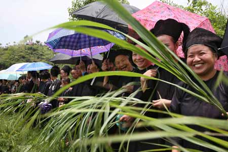 Women of Shui ethnic group wave couch grass to celebrate the Mao Festival in Shui Autonomous County of Sandu, southwest China's Guizhou province, July 14, 2008. 