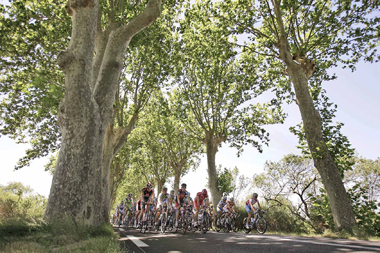 The pack passes near Capestang during the 13th stage of the Tour de France competition between Narbonne and Nimes, southern France, yesterday.  