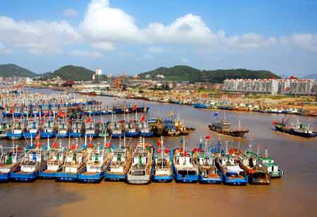 Thousands of fishing vessels are anchored in Zhujiajian harbor in Zhoushan, east China's Zhejiang Province, July 18, 2008. 