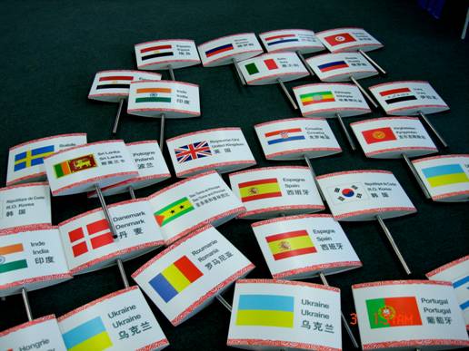 The numerous cardboards filled with colorful flags representing the 205 countries were lying on the ground for us to pick them up and lead our team in these few days.