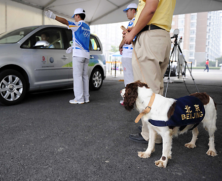 A sniffer dog watches a car passing by an entrance of the Olympic Village in Beijing, July 27, 2008. A total of 204 trained dogs will be used to detect suspicious goods in competition venues, training areas and Olympic-related hospitals and hotels in order to ensure safety during the Olympic and Paralympic Games. 