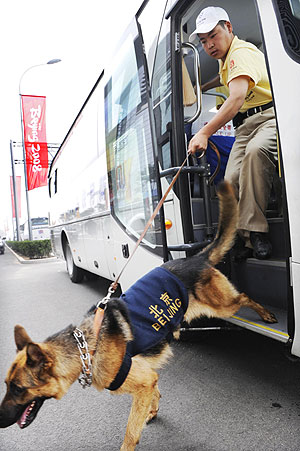 A security guard follows his sniffer dog after inspecting a passenger vehicle near the Olympic Village in Beijing, July 27, 2008. A total of 204 trained dogs will be used to detect suspicious goods in competition venues, training areas and Olympic-related hospitals and hotels in order to ensure safety during the Olympic and Paralympic Games. 