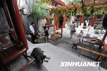 This hostel is built in the style of the traditional Beijing courtyard house, with grey-tiled roofs and red wooden window frames. 