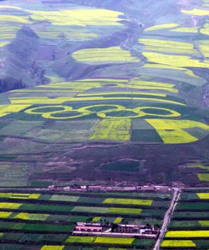 Photo taken on July 29, 2008 shows an Olympic Five-Ring logo consisting of cole flowers in Babao township of Qilian county, northwest China's Qinghai province. Local people plant cole and crop in the pattern of an Olympic Five-Ring logo to express their best wishes to the upcoming Beijing 2008 Olympic Games. 