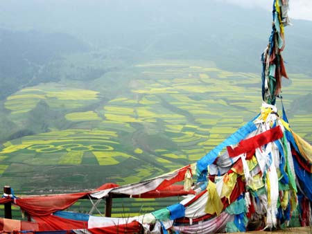 Photo taken on July 29, 2008 shows an Olympic Five-Ring logo consisting of cole flowers and sutra streamers on the Zhuo'er Mountains in Babao township of Qilian county, northwest China's Qinghai province. Local people plant cole and crop in the pattern of an Olympic Five-Ring logo to express their best wishes to the upcoming Beijing 2008 Olympic Games.