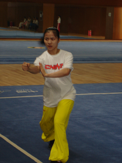 Wushu athletes practice their routines of taolu (left) and sanshou (right) 