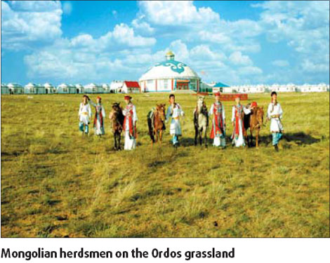 Ordos grassland